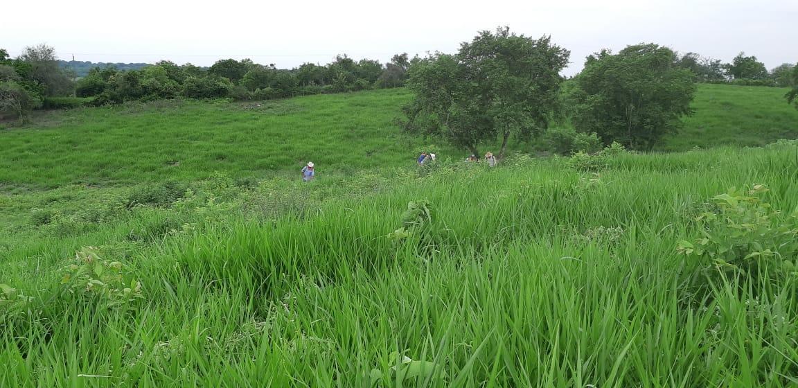 Ranch for Sale Located in La Noria, Tempoal Veracruz, Info.