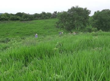 Villa · 60m² · Rancho en Venta Ubicado en La Noria, Tempoal Veracruz, Inf.