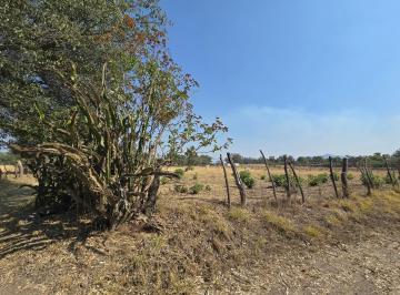 Terreno / Lote , Tala · Terreno en Venta en San Isidro Mazatepec