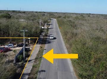 Terreno / Lote , Mérida · Terreno en Venta Mérida, Tahdzibichén Yucatan