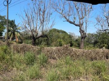 Terreno / Lote · 91000m² · Terreno en Congregacion El Cedral