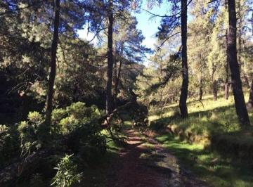 Terreno / Lote · 10582m² · Terrenos en Venta en Tlazala de Isidro Fabela