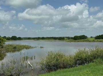 Rancho , Soto la Marina · Venta de Rancho en Soto La Marina, Tamaulipas.