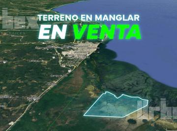 Terreno / Lote · 16240891m² · Terreno Único en Venta en Zona de Manglar, Campeche