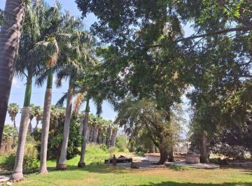 Terreno / Lote · 41365m² · Terreno Comercial Plano 160 m Frente