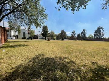Terreno / Lote · 386m² · Terreno en Venta