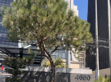 Oficina · 313m² · 7 Estacionamientos · Oficina en Venta en Puerta de Hierro, Aura Corprativo