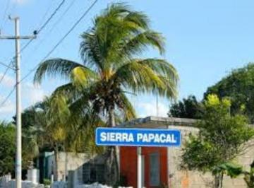 Terreno / Lote , Mérida · Gran Terreno en Sierra Papacal, Yucatan.