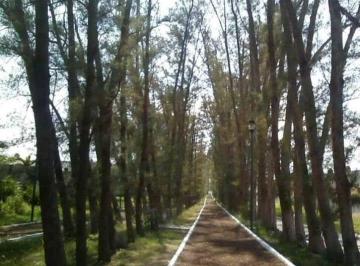 Terreno / Lote , Veracruz · Terreno Venta en Fraccionamiento Residencial del Bosque en Veracruz
