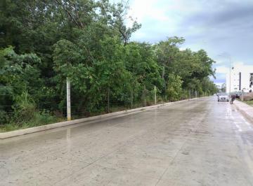 Terreno / Lote , Puerto Morelos · Terreno a La Venta en Puerto Morelos, Ideal Para Inversionistas
