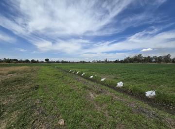 Terreno / Lote , Acatic · Terreno en Venta en Carretera a Acatic Km 301