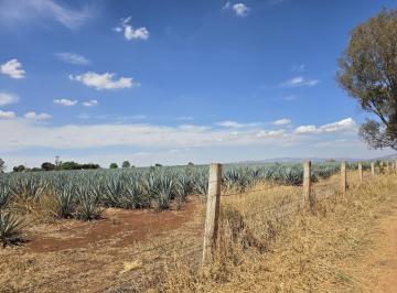Terreno / Lote , Acatic · Terreno en Venta Cercano Al Pueblo El Refugio