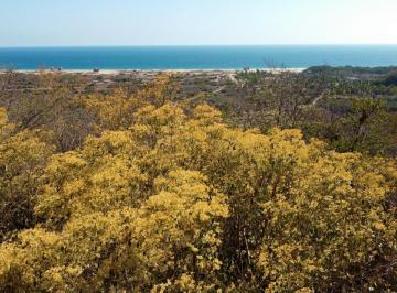 Terreno / Lote , San Pedro Pochutla · Lote con Espectacular Vista Al Mar