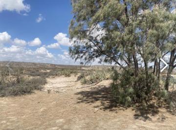 Rancho , General Cepeda · Terreno en Venta en San Antonio del Jaral General Cepeda, Coahuila