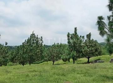 Terreno / Lote · 260m² · Terreno San Rafael, Cuauhtemoc, Colima