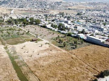 Terreno industrial , Tijuana · Terreno en Venta en La Morita | 5.7 Ha | Uso Mixto Habitacional–industrial