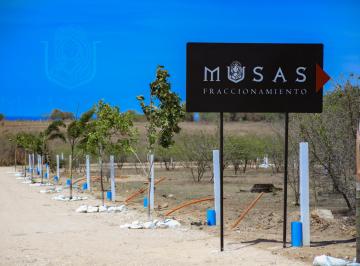 Terreno / Lote , Santa María Tonameca · Terrenos en Venta a Solo 800 m de Playa Agua Blanca, Oaxaca.