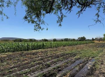 Terreno / Lote , Salamanca · Terreno en Venta, Carr. Salamanca - La Ordeña