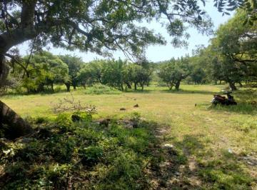 Terreno / Lote · 5140m² · Terreno Urbano en Tepetlixpita Totolapan - Crb - 1250 - Tu