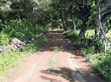 Terreno / Lote · 4554m² · Terreno Urbano en Tepetlixpita Totolapan - Crb - 1250 - Tu