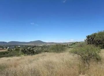 Terreno / Lote · 1m² · Se Vende Terreno en Mpio. de Colón, Edo. Querétaro - (4)