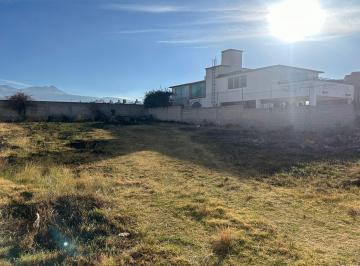 Terreno / Lote · 800m² · Terreno en Venta Cacalomacán