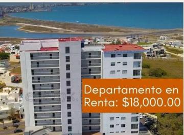 Departamento de 2 habitaciones, Alvarado · Departamento en Renta en El Edificio Xiris