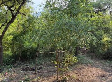 Terreno / Lote , Juárez · Venta de Terreno Campestre en Bosques de La Silla, San Mateo