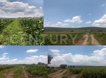 Rancho · 460000m² · Rancho Agrícola en Venta en La Comunidad La Cantera Guanajuato.