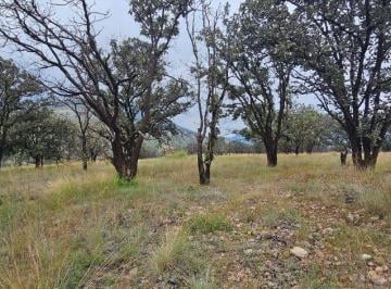 Terreno / Lote · 200m² · Terrenos en Venta en Zapopan Norte