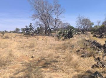 Terreno / Lote · 10000m² · Terreno por Hectárea a Buen Precio