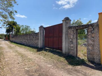 Terreno / Lote , Mérida · Terreno con Servicios en Venta Ubicado en Caucel, Mérida, Yucatán