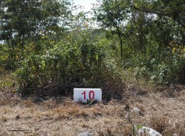 Terreno / Lote , Berriozábal · Terreno en Berriozabal Chiapas
