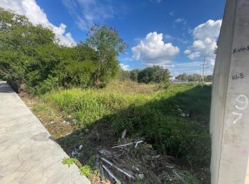 Terreno / Lote · 10000m² · Terreno - Ejido Imi