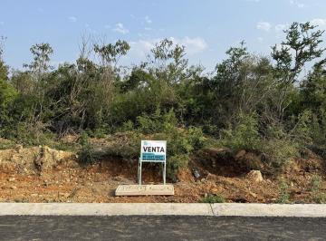 Terreno / Lote · 251m² · Terreno en Aysso Primera Etapa