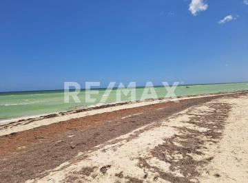 Terreno / Lote · 420m² · Terreno en Venta Frente Al Mar, Km 32.5 en Playa San Bruno, Dzemul Yucatán - (4)
