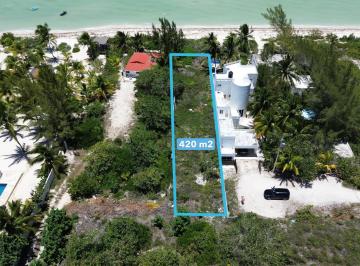 Terreno / Lote · 420m² · Terreno en Venta Frente Al Mar, Km 32.5 en Playa San Bruno, Dzemul Yucatán - (4)