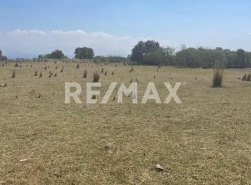 Terreno comercial · 28873m² · Terreno en Venta en San Antonio La Isla - (4)