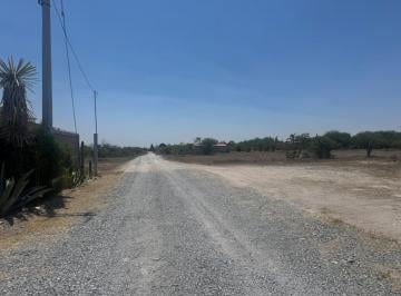 Terreno / Lote · 10000m² · Terreno Campestre en Venta a 12 Minutos de San Miguel de Allende