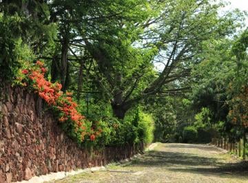 Terreno / Lote , Chapala · Terreno Venta, 3 Cañadas, Ajijic.