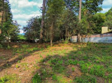 Terreno / Lote · 1650m² · Terreno en Venta en El Centro de Avandaro