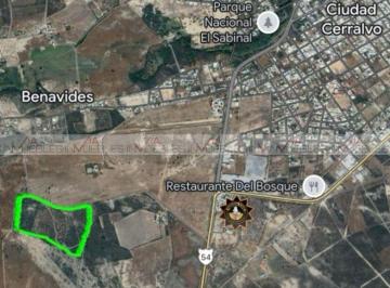 Terreno / Lote · 192378m² · Terreno / Lote en Venta en Ciudad Cerralvo