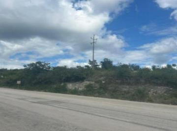 Terreno / Lote · Terreno en Calakmul Campeche