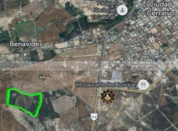 Terreno / Lote · 192m² · Terreno / Lote en Venta en Ciudad Cerralvo