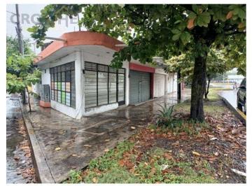 Local comercial · 384m² · 1 Recámara · Propiedad en Venta con 5 Locales y un Departamento en Col. Ejidal de Martínez de La Torre