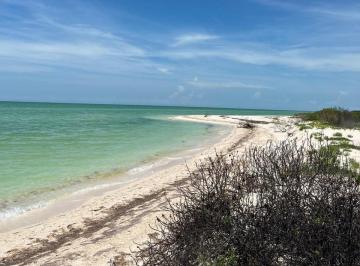 Terreno / Lote , Celestún · Terreno en Venta Frente Al Mar