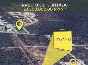 Terreno / Lote · 1000m² · Terreno en Venta en Mérida, Temozón Norte, 1000 m²