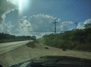 Terreno / Lote · 140000m² · Terreno en Venta 14 Ha, en Carretera Cancún