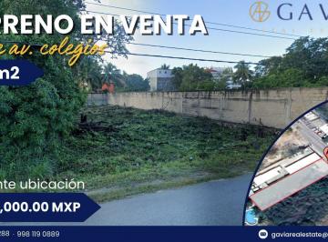 Terreno / Lote · 650m² · Terreno en Av Colegios Cancún Q. R.