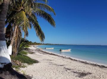Terreno / Lote · 13000m² · Terreno en Carretera Federal Tulum – Punta Alen; Quintana Roo Referencia Xamach